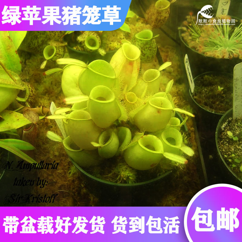 趣味苹果版趣味生成器苹果版-第2张图片-太平洋在线下载